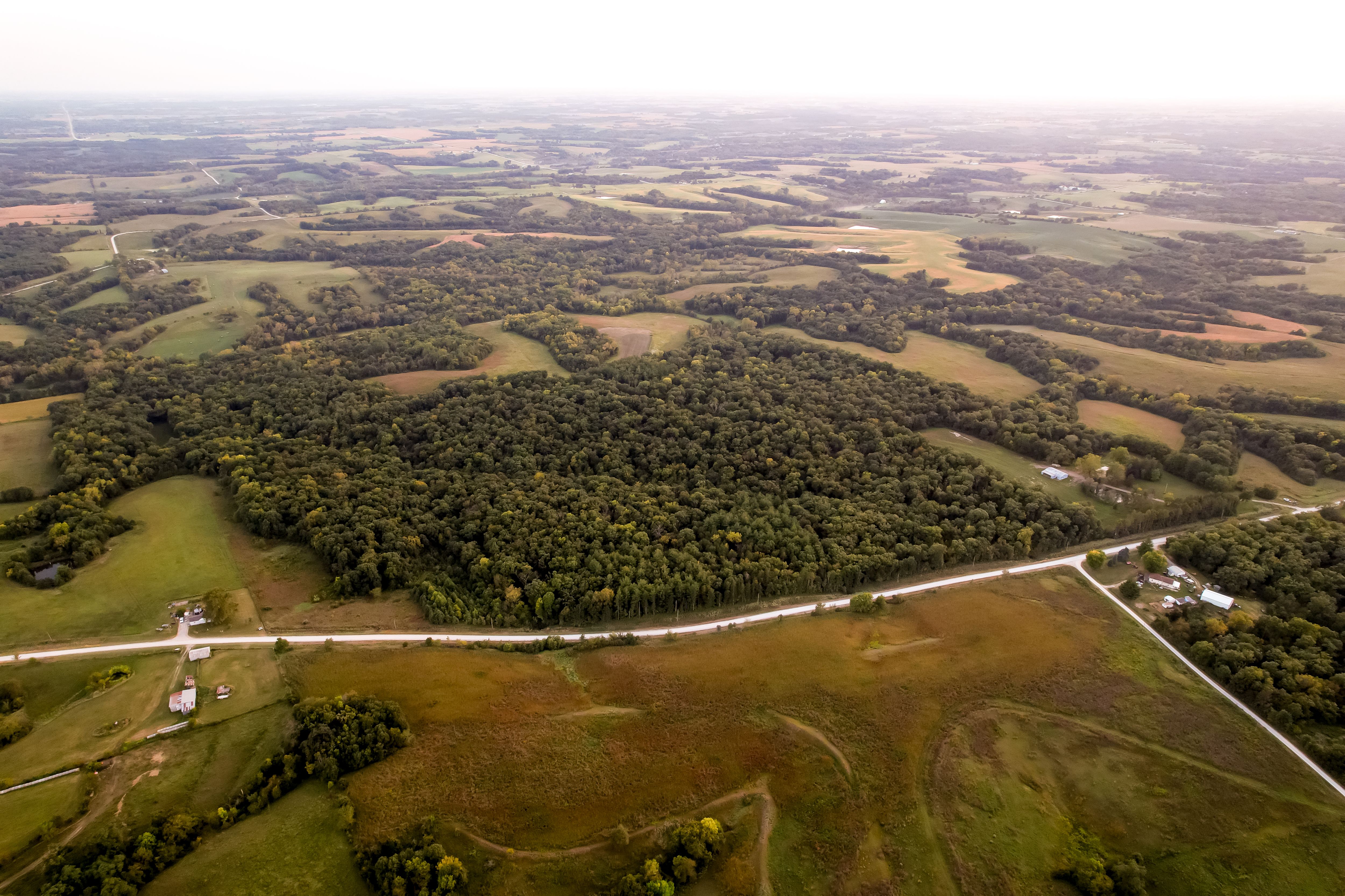 Listing Photo: Photo Sep 10 2025, 7 16 43 PM